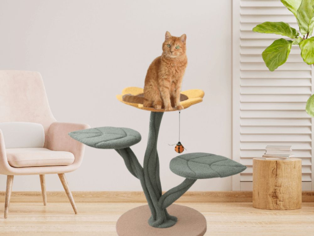 Kratzbaum modern