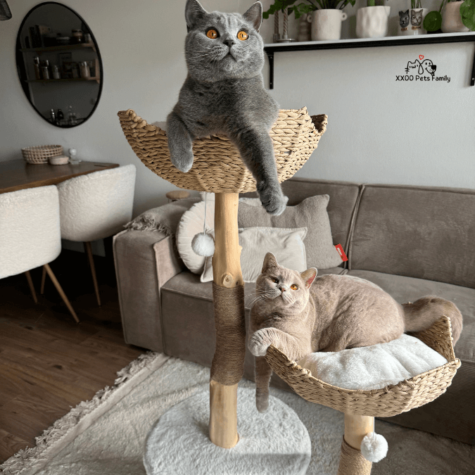 White Dream natural scratching post