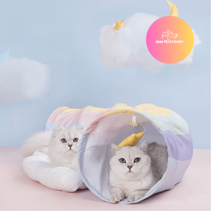 Buy cat tunnel best sale
