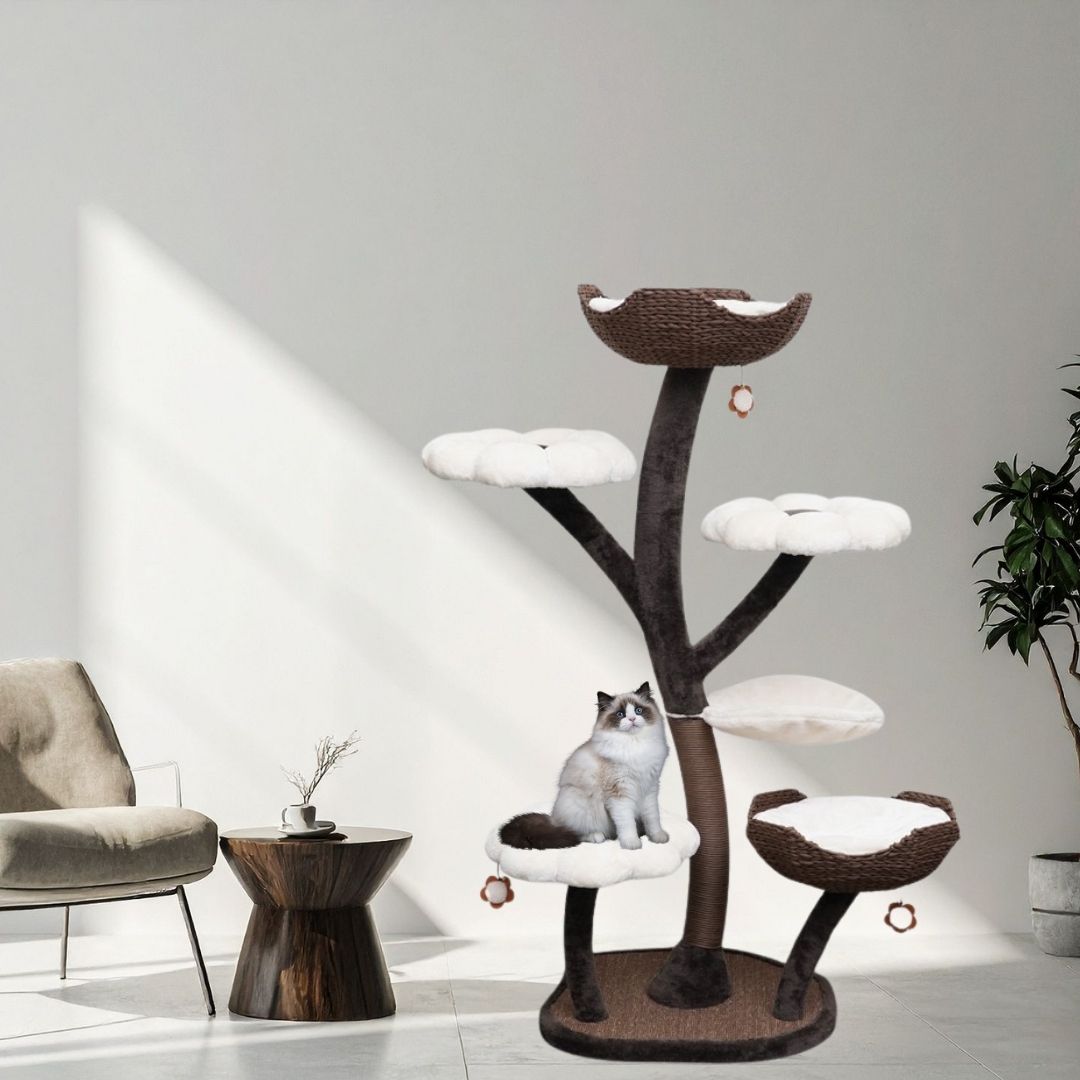 Kratzbaum für große Katzen