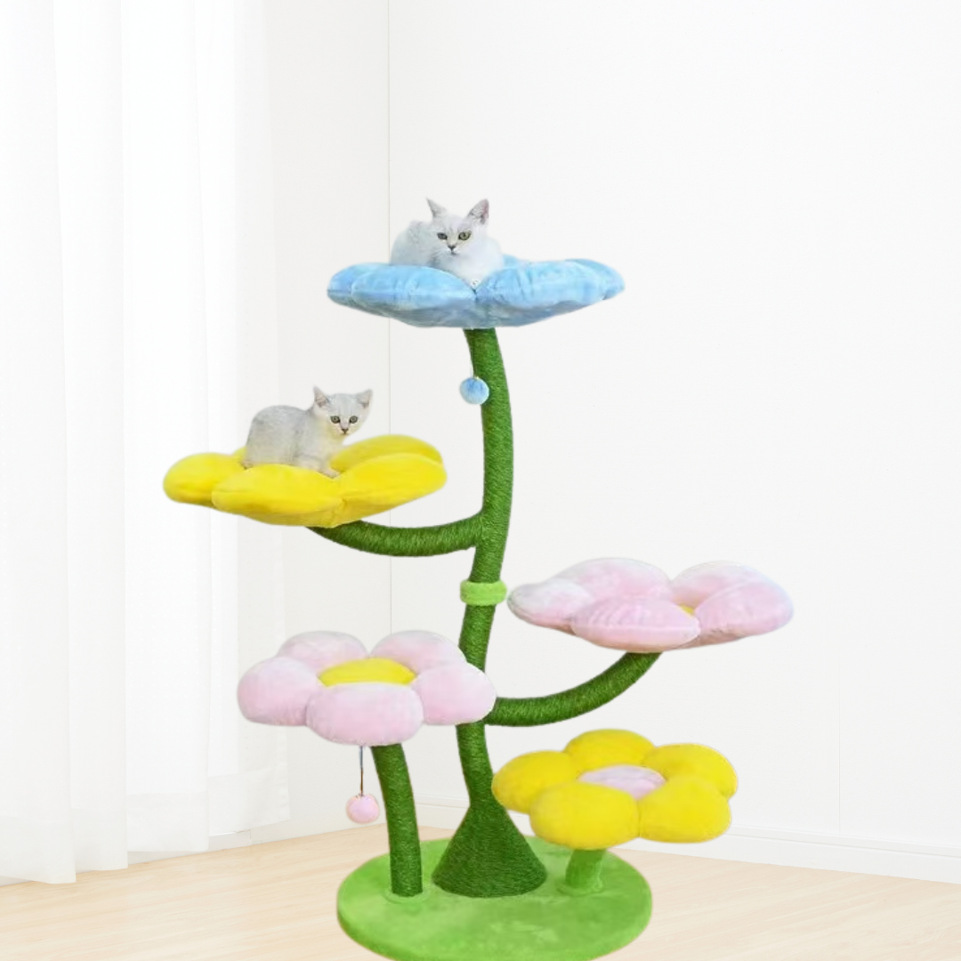 Katzenbaum