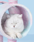 Katzenkratztonne