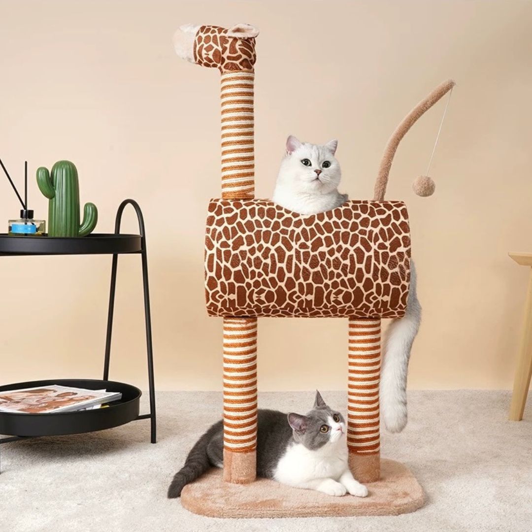 Kratztonne für Katzen