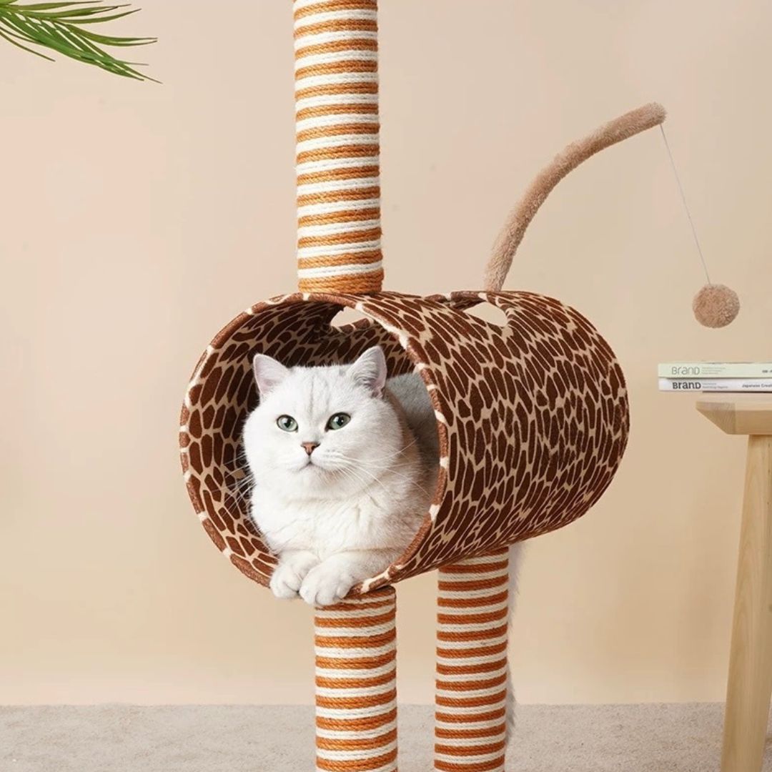 Kratztonne für Katzen