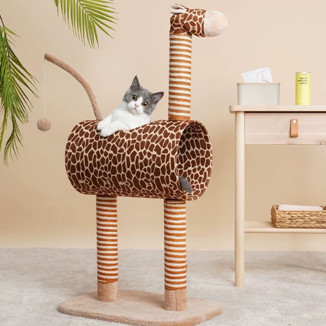 Kratztonne für Katzen