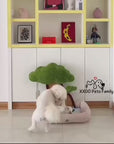 Katzensofa