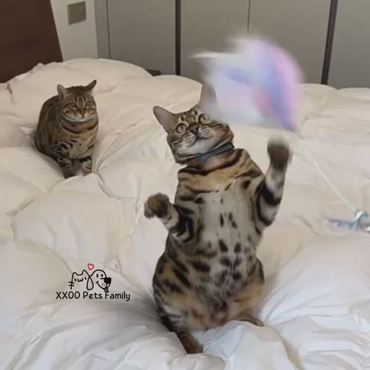 Interaktives Katzenspielzeug