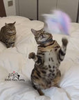 Interaktives Katzenspielzeug
