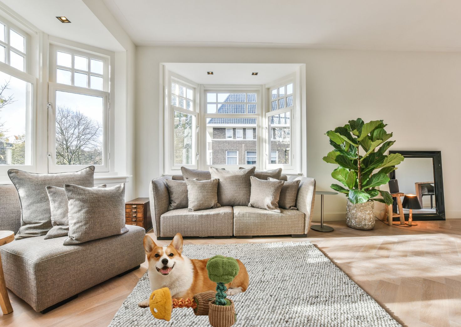 Hundespielzeug unkaputtbar