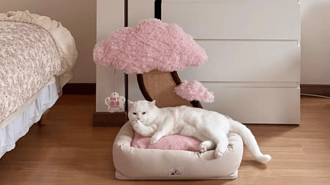 flauschiges Katzenbett