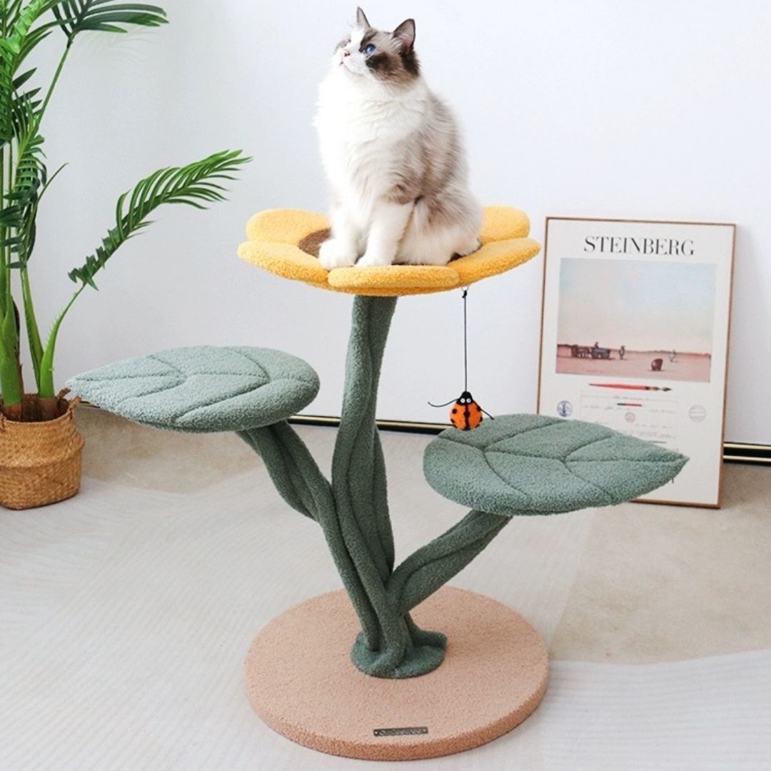 Katzenmöbel