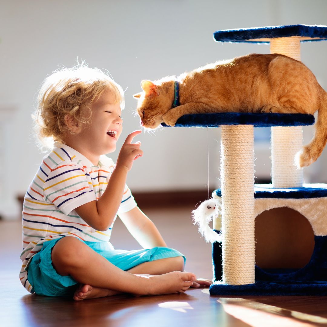 Katze und Kind
