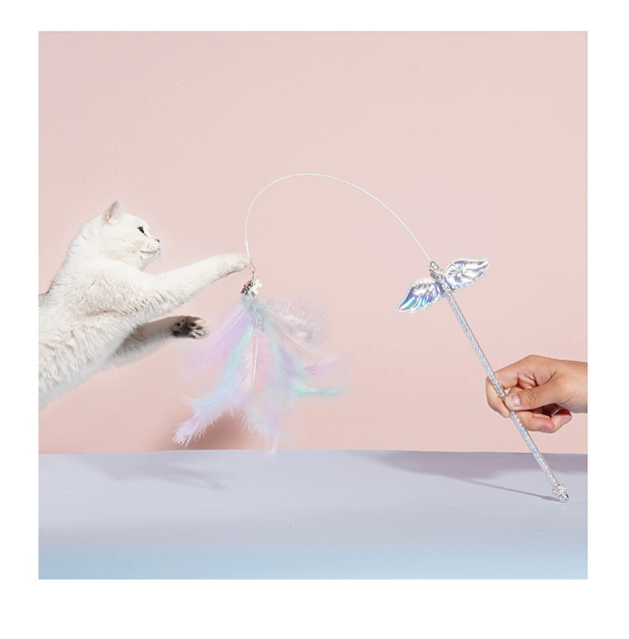 Die Katze spielt mit der Katzenangel