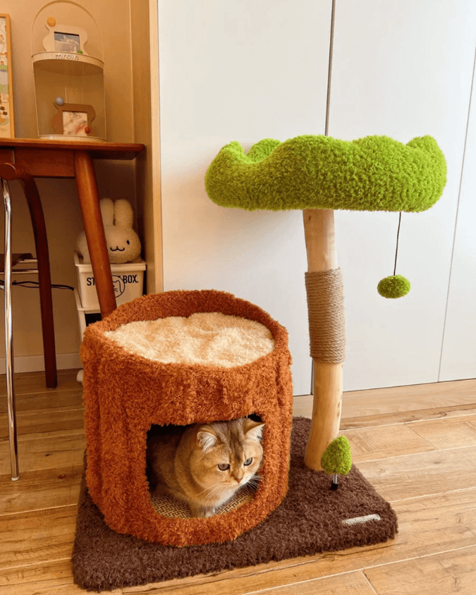 moderner Kratzbaum