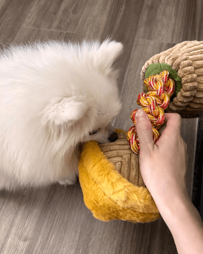 Hundespielzeug unkaputtbar