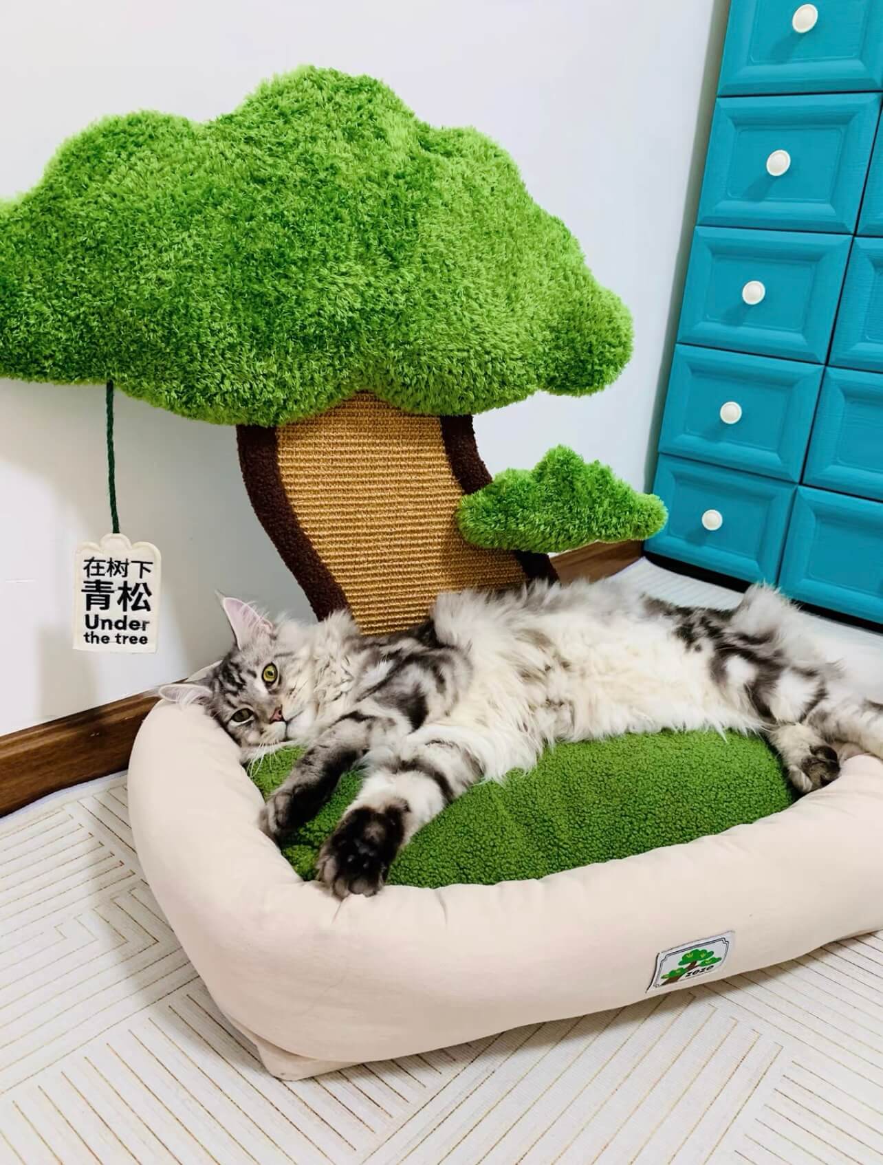 Katzenkissen