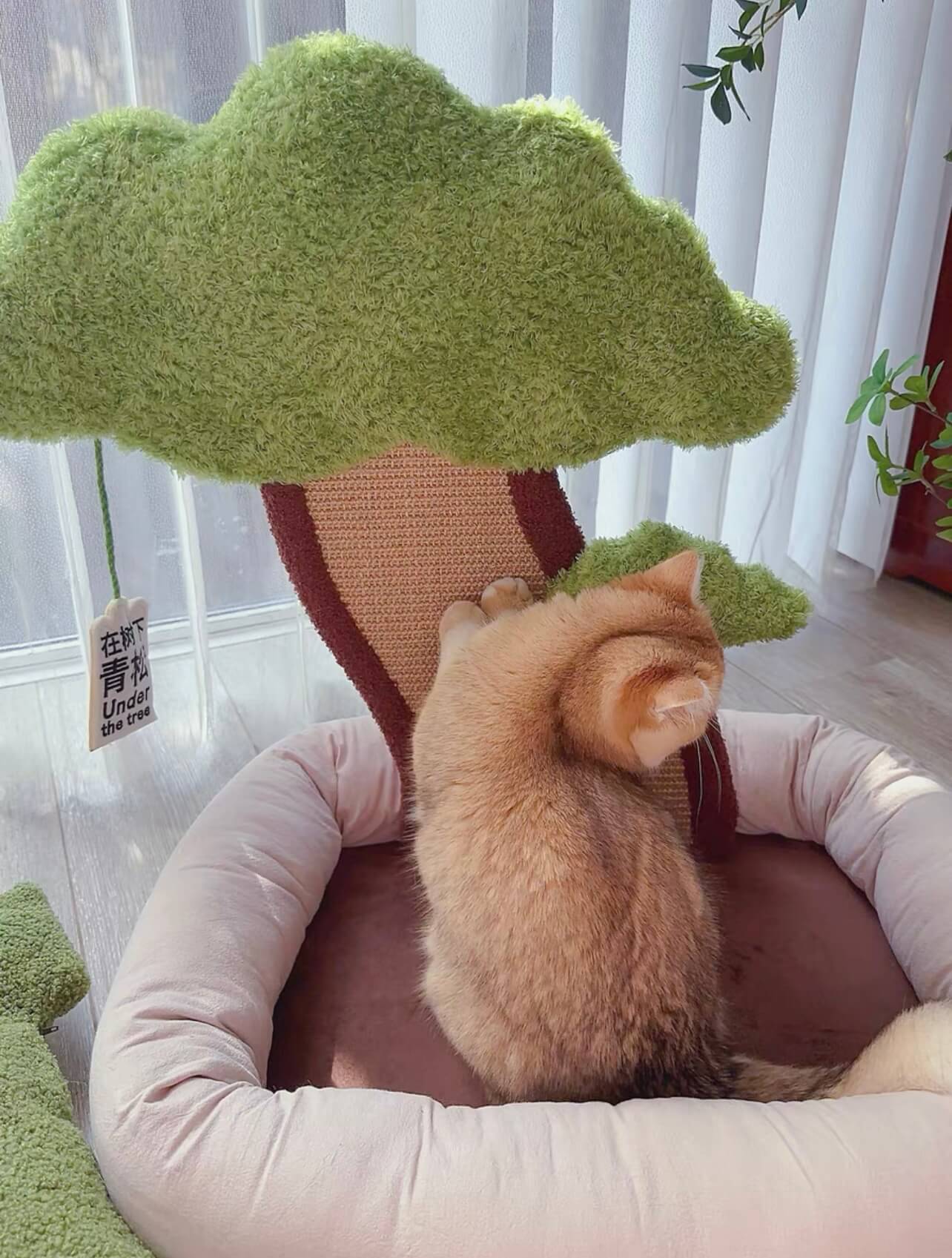 Katzenkissen