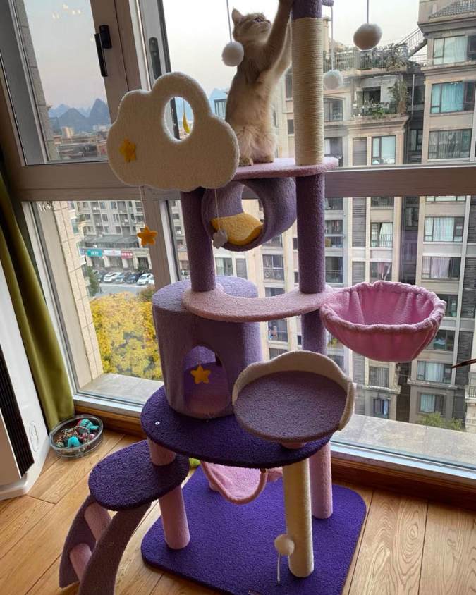 Kratzbaum für große Katzen