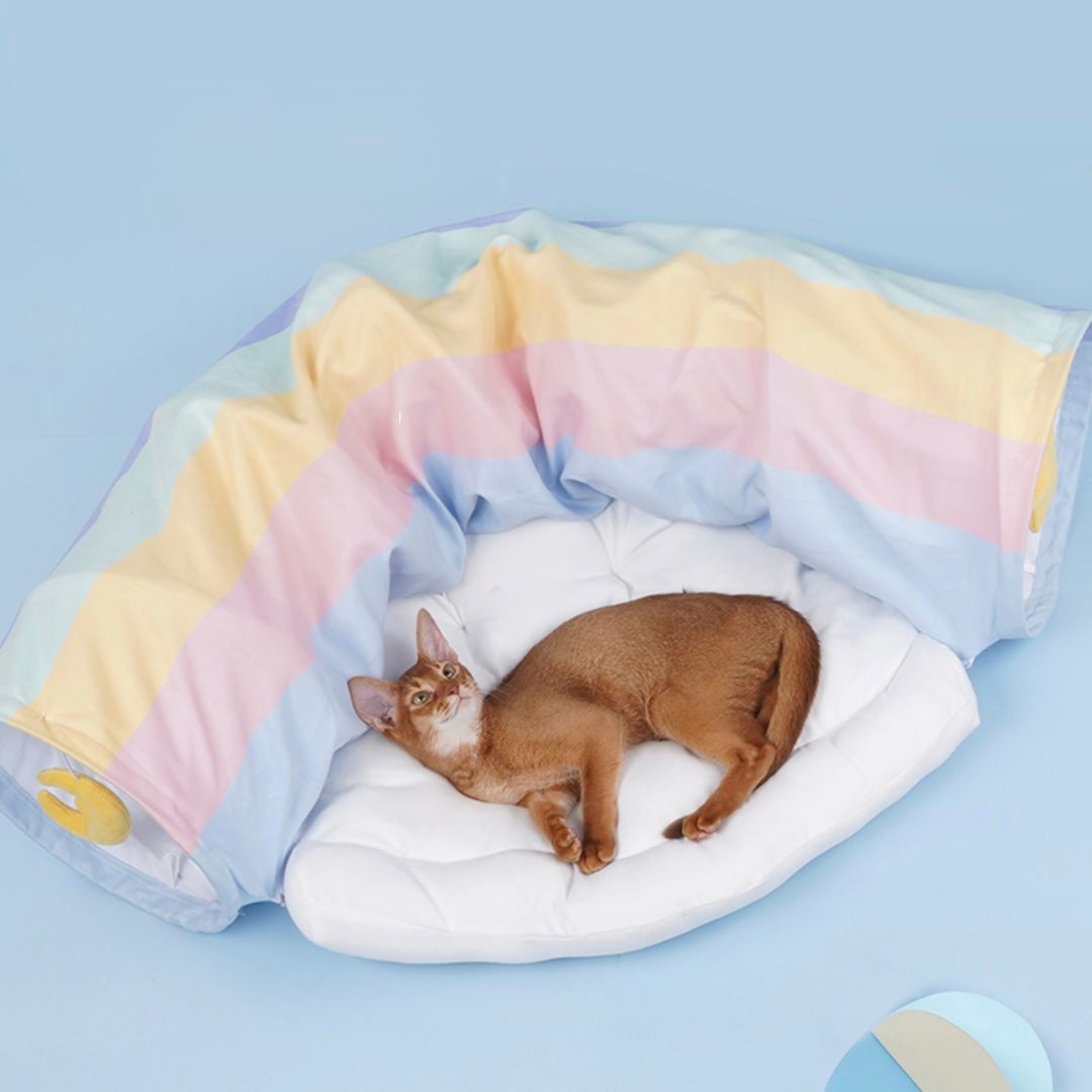 Katzenspielzeuge
