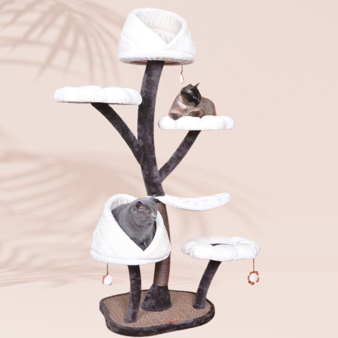 Kratzbaum Blume