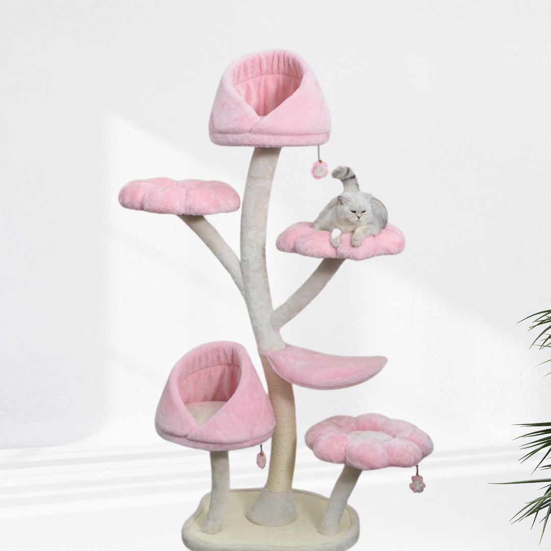 Kratzbaum Blume