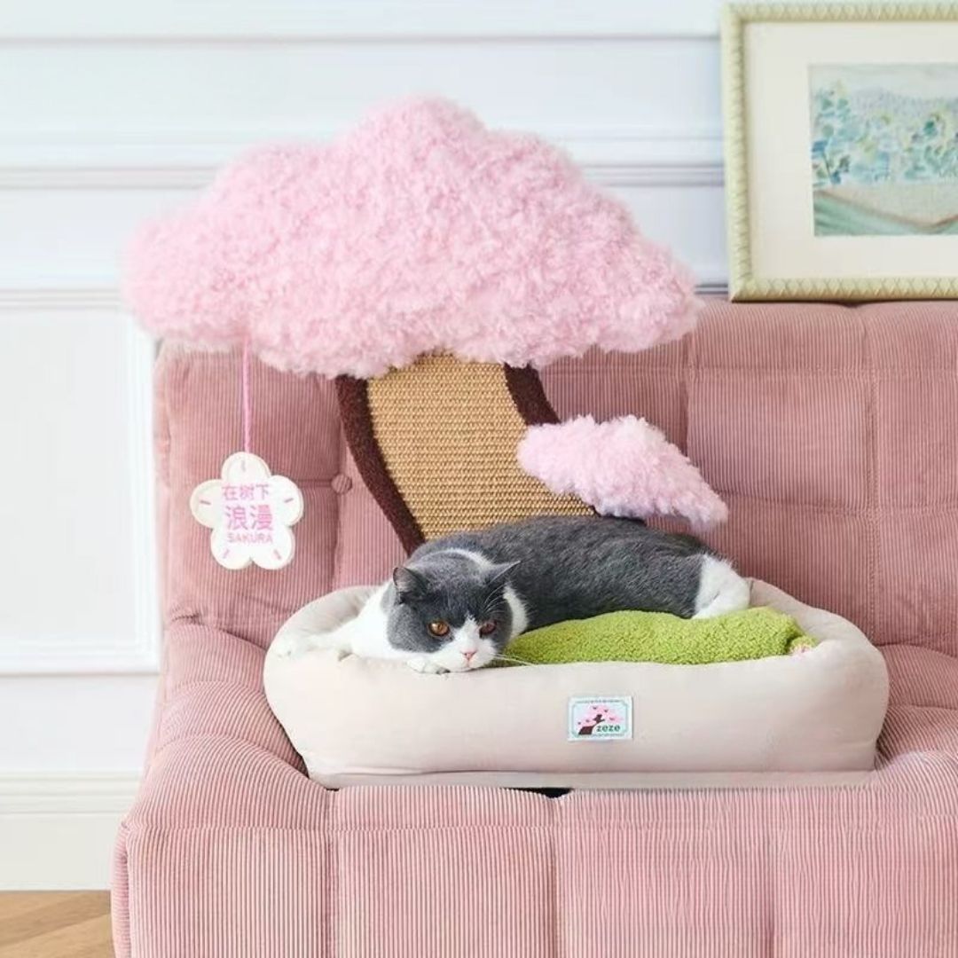 Katzenbett