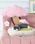 Katzenbett