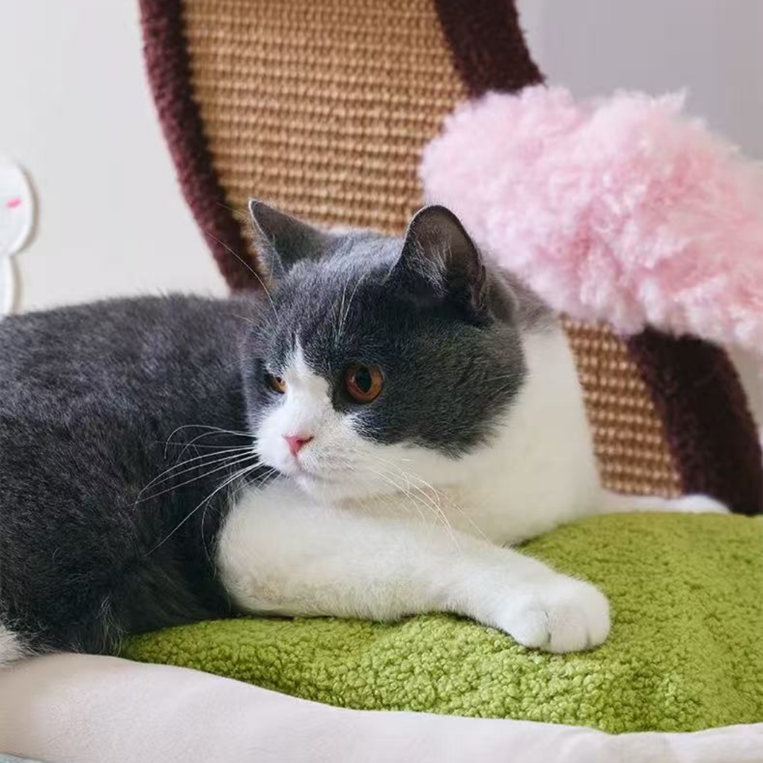Katzenbett