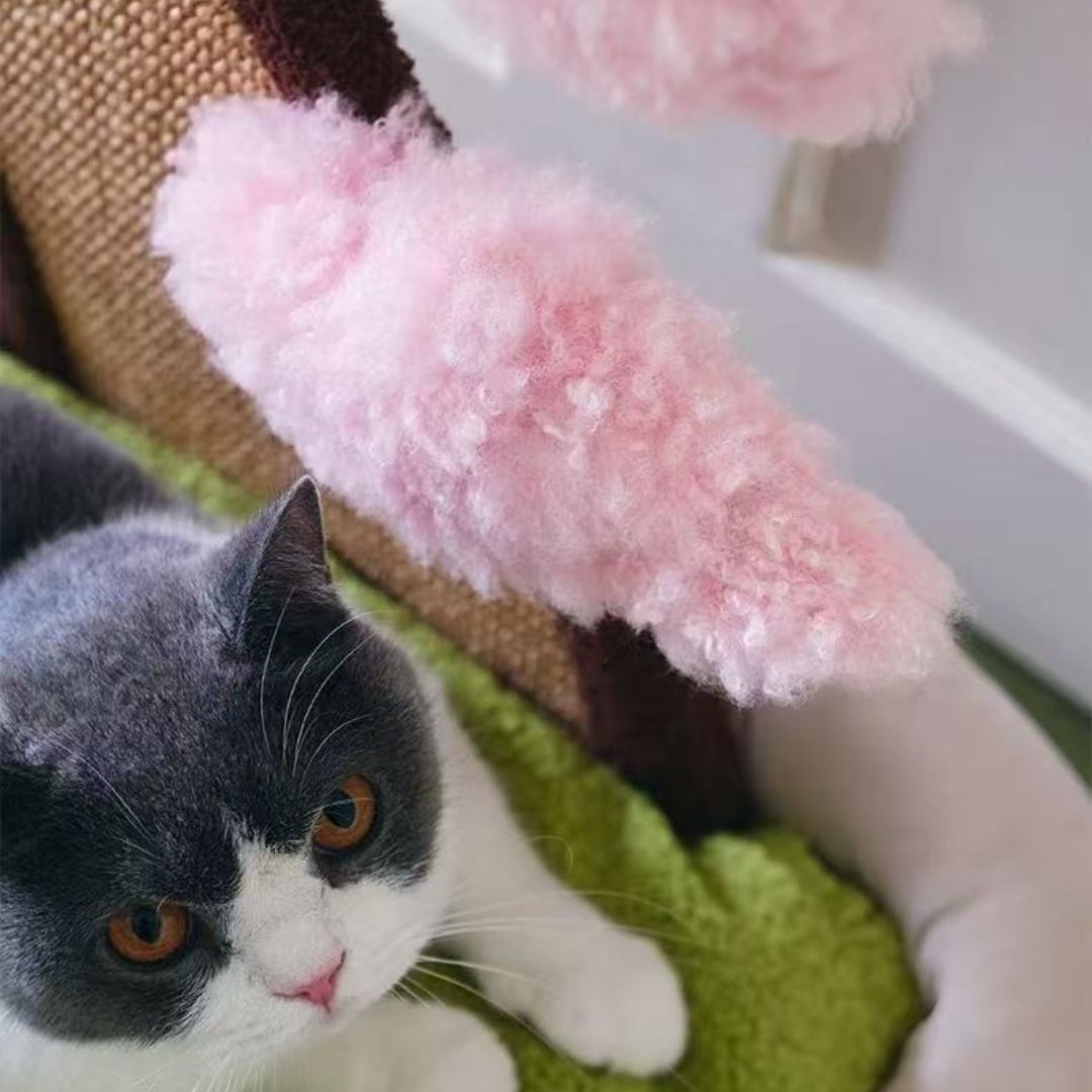 Katzenbett