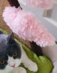Katzenbett