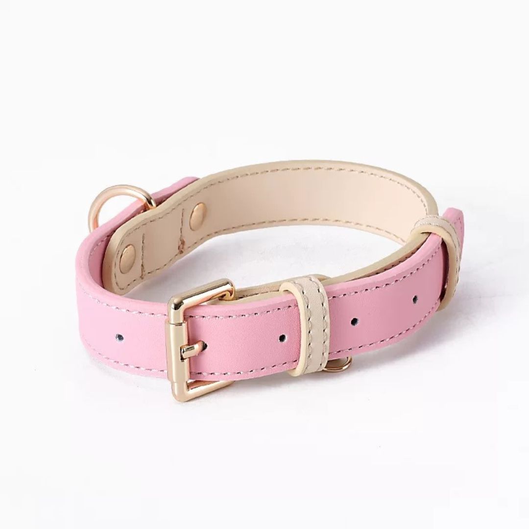 Katzenhalsband