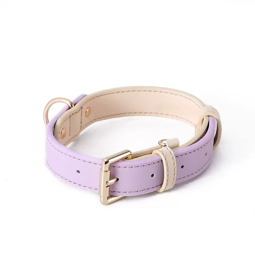 Katzenhalsband