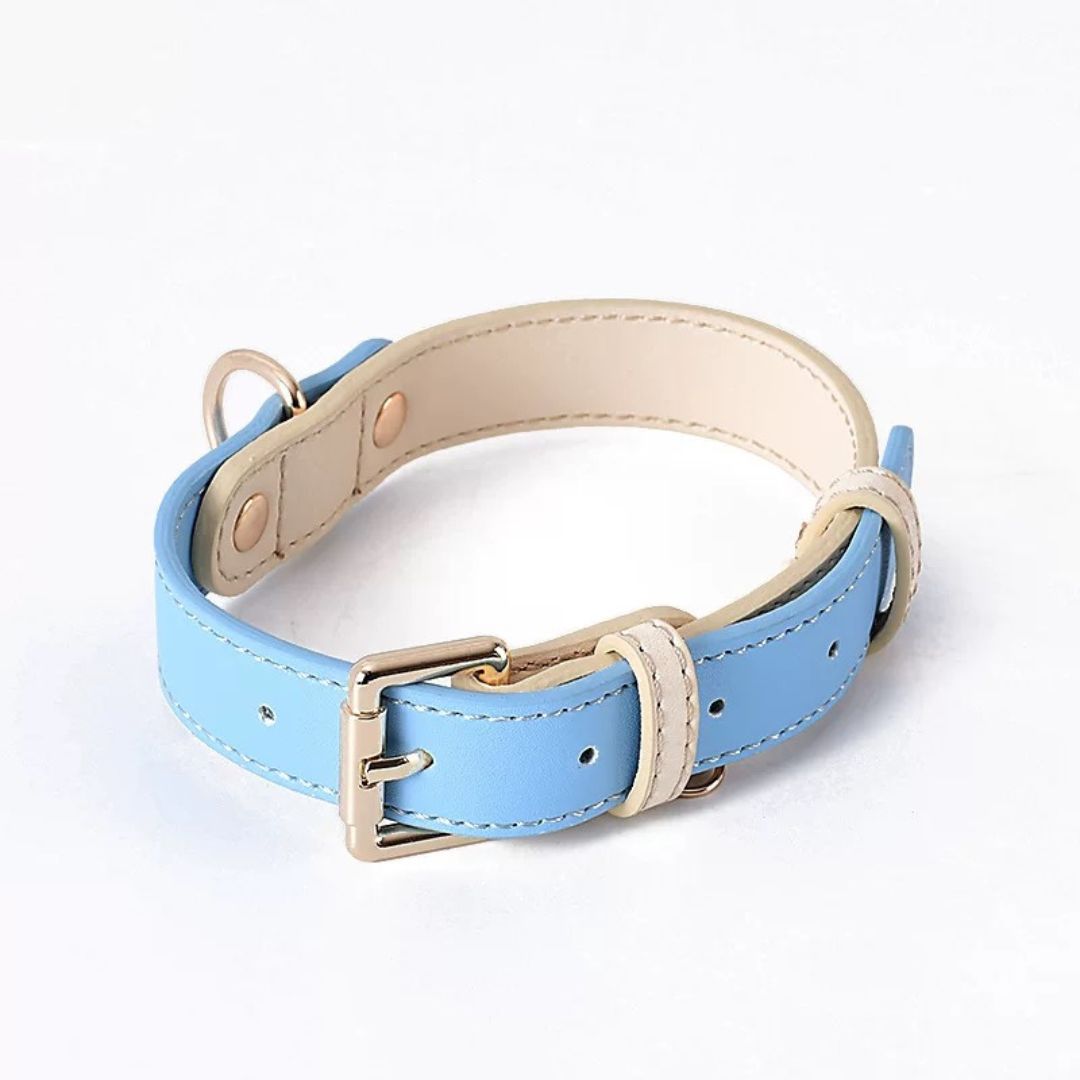 Katzenhalsband