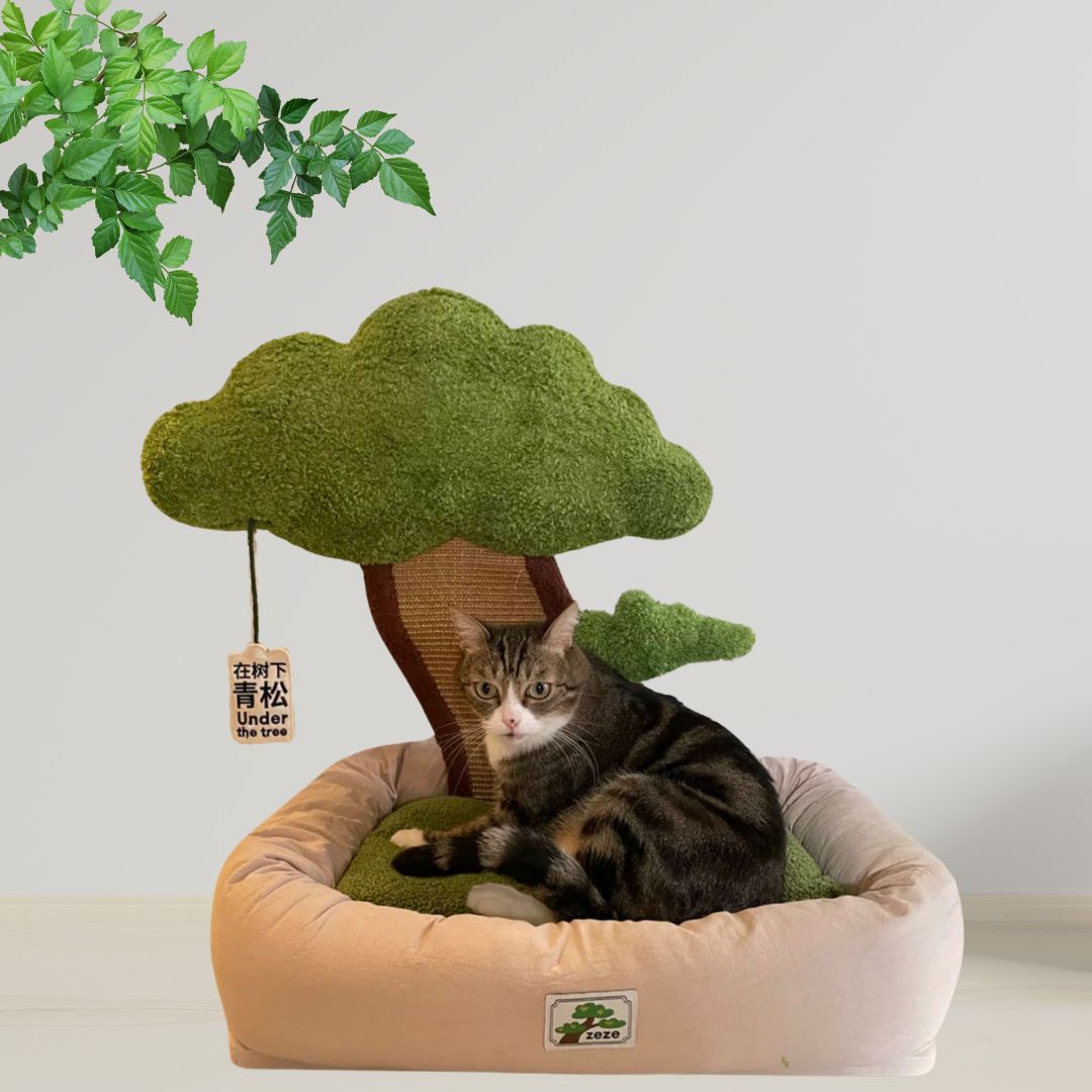 Katzenbett