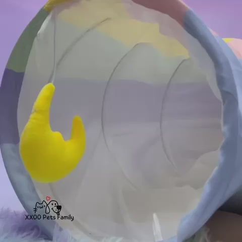Katzentunnel xxl
