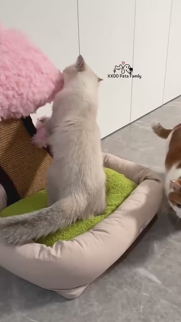 Katzenbett